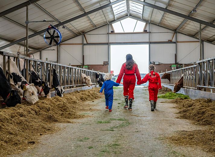 FarmCamps De Oostermaat