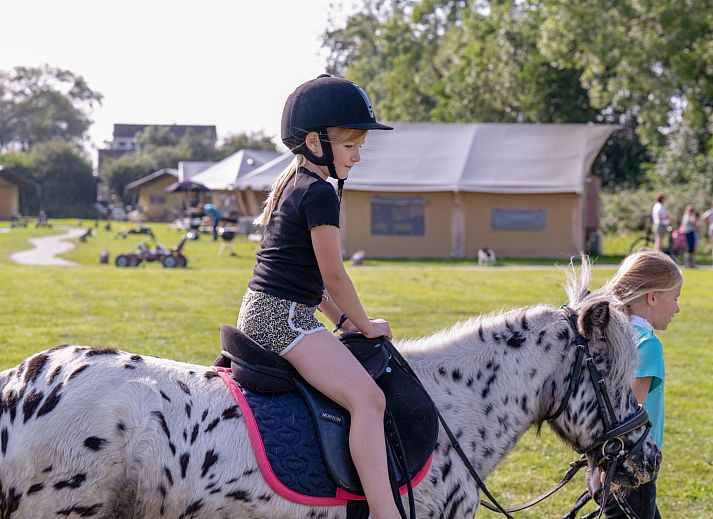 FarmCamps De Oostermaat