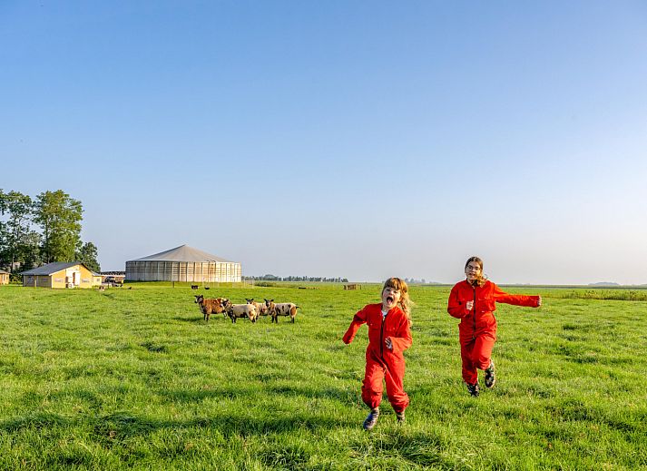 FarmCamps De Oostermaat