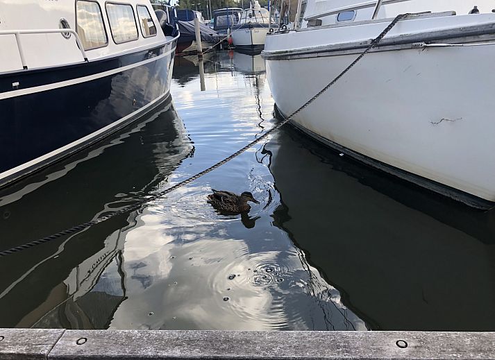 Marina Parcs Amsterdam