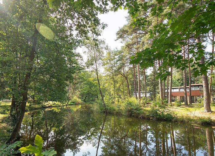 Het Vennenbos