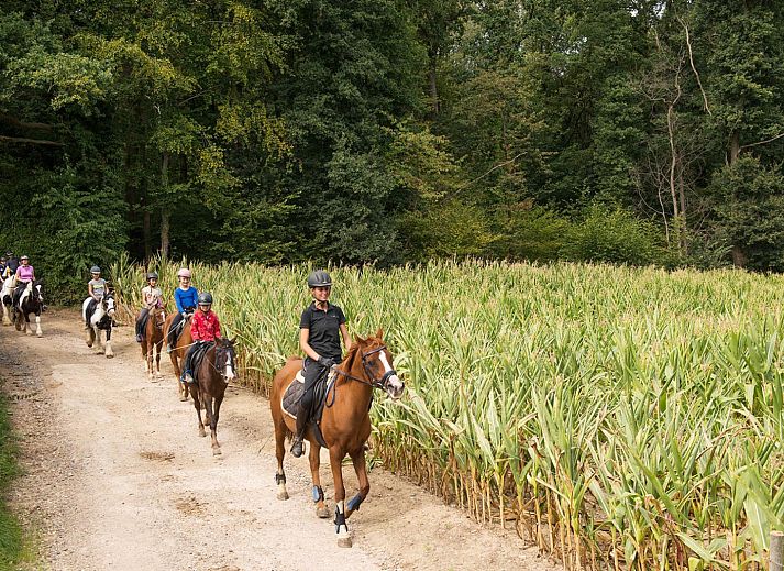 FarmCamps De Verloren Kost