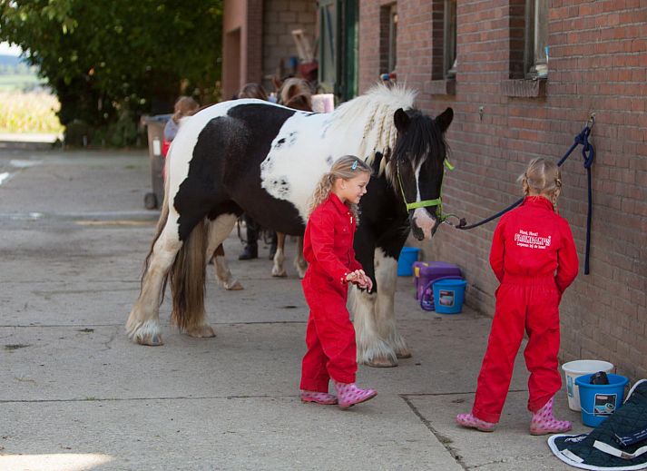 FarmCamps De Verloren Kost