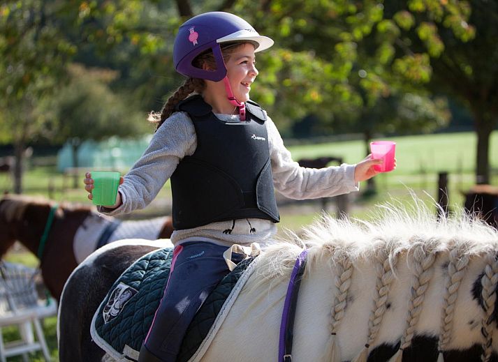 FarmCamps De Verloren Kost