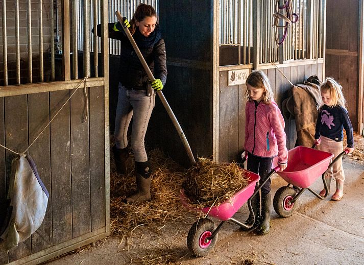 FarmCamps De Verloren Kost