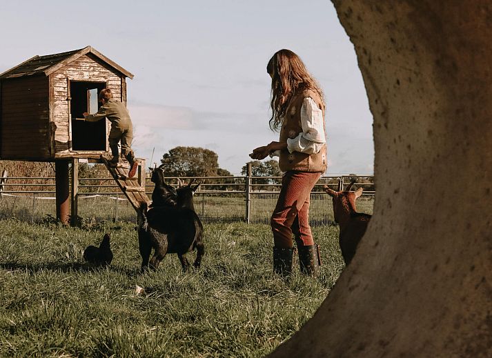 BoerenBed Hoeve De Pippert in de Betuwe