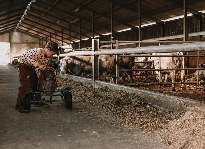 BoerenBed Hoeve De Pippert in de Betuwe