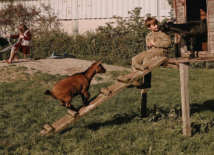 BoerenBed Hoeve De Pippert in de Betuwe