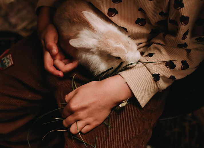 BoerenBed Hoeve De Pippert in de Betuwe