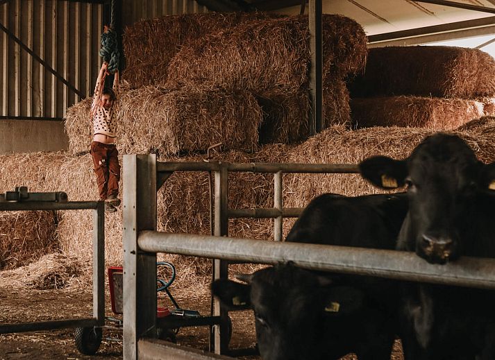 BoerenBed Hoeve De Pippert in de Betuwe