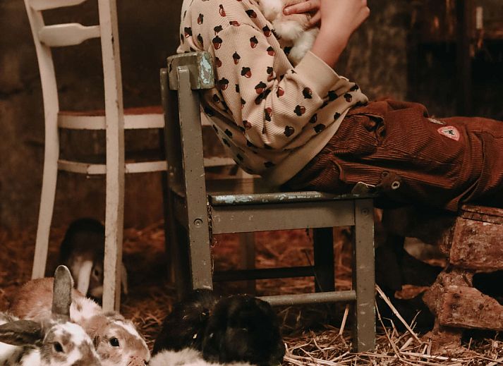 BoerenBed Hoeve De Pippert in de Betuwe