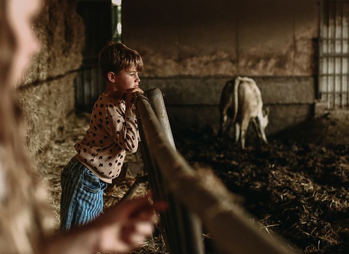 BoerenBed Hoeve De Pippert in de Betuwe