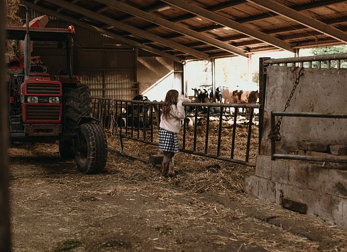 BoerenBed Hoeve De Pippert in de Betuwe