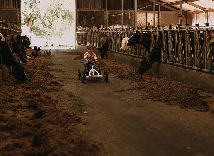 BoerenBed Hoeve De Pippert in de Betuwe