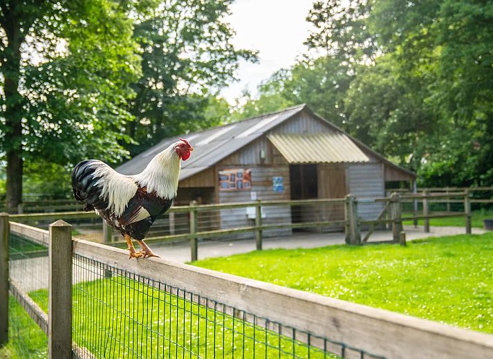 Landal Landgoed De Elsgraven