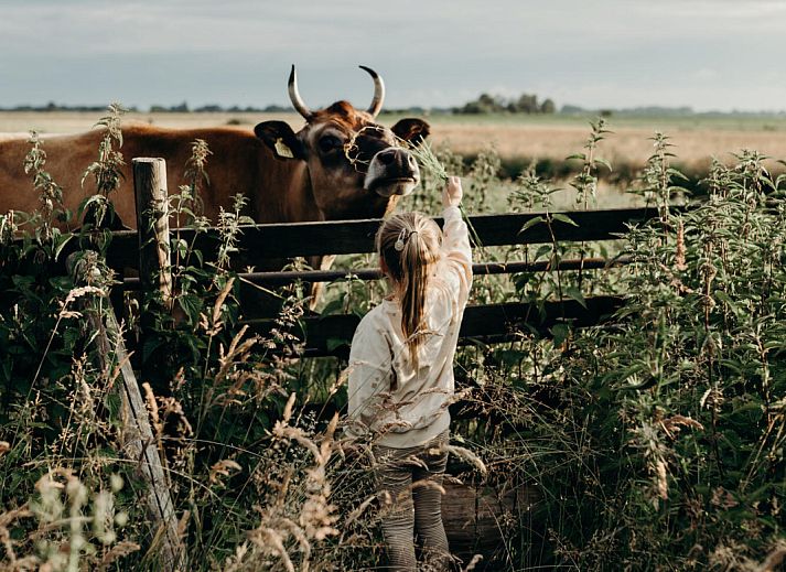 BoerenBed TaarTenTuin