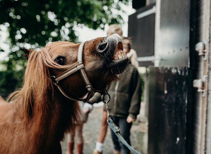 BoerenBed TaarTenTuin