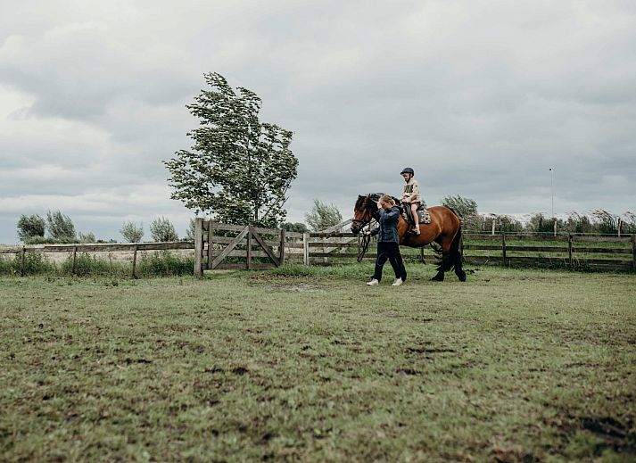 BoerenBed TaarTenTuin