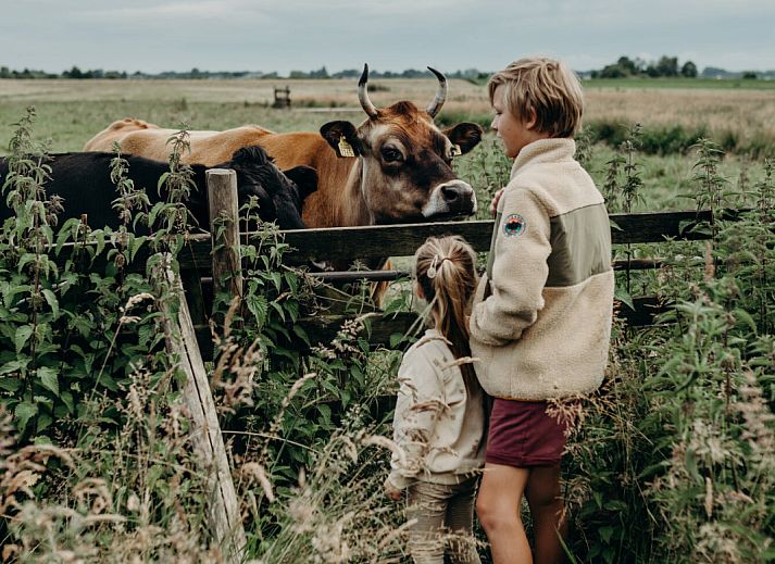 BoerenBed TaarTenTuin