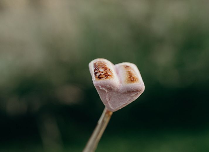 BoerenBed TaarTenTuin