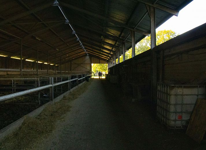 BoerenBed De Brabantse Hei