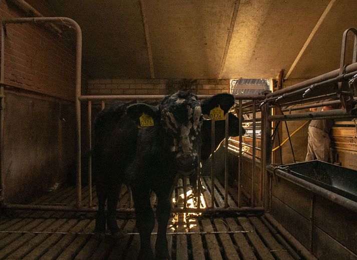 BoerenBed De Brabantse Hei