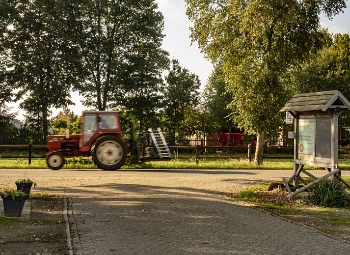 BoerenBed De Brabantse Hei