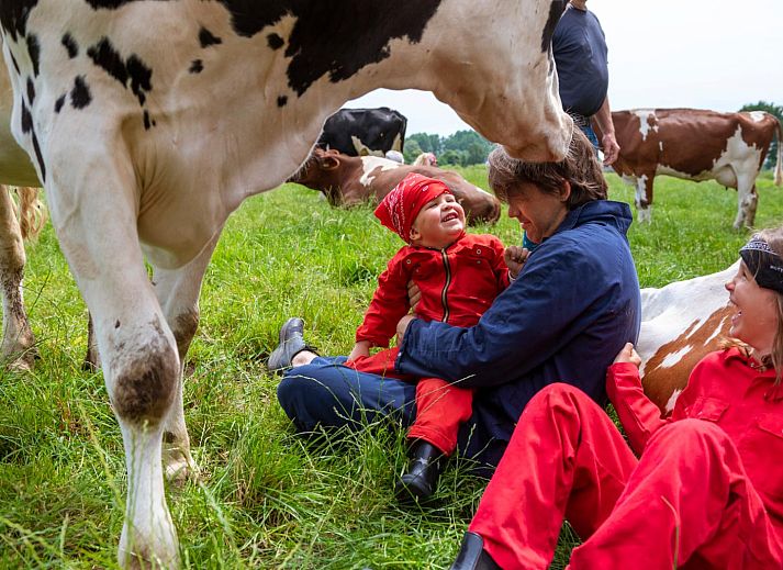 FarmCamps Den Branderhorst