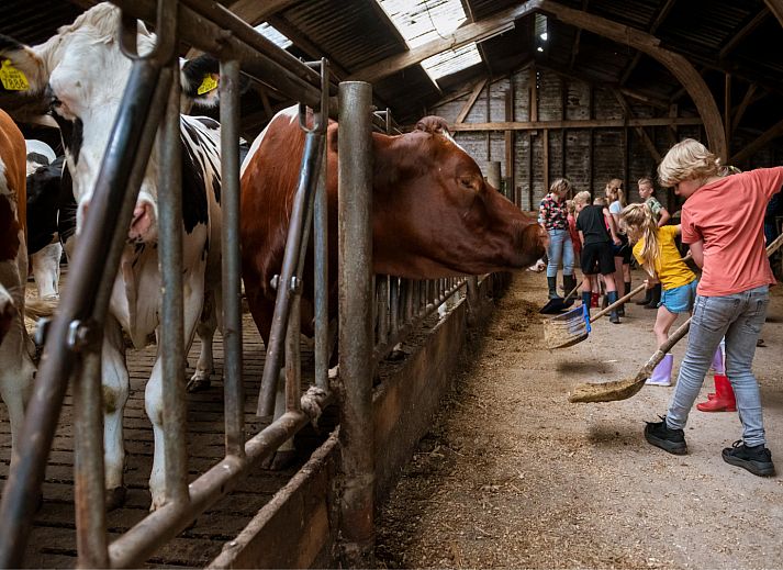 FarmCamps Den Branderhorst
