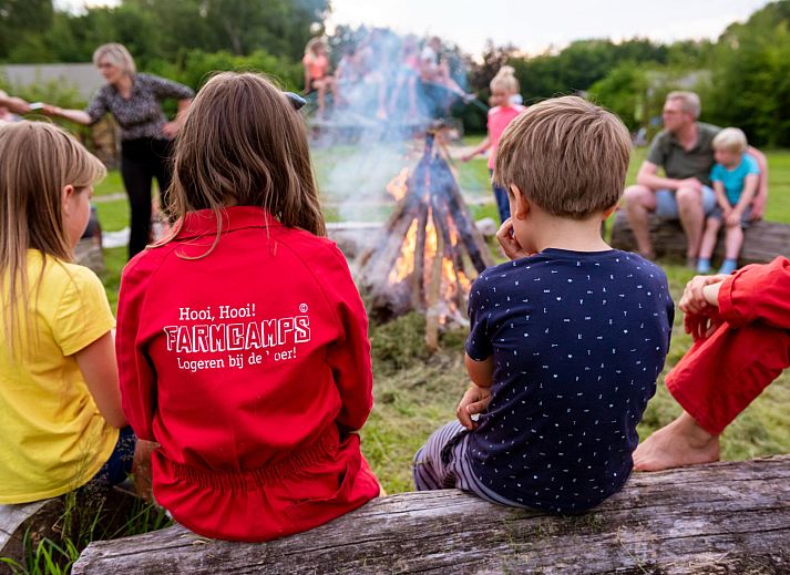 FarmCamps Den Branderhorst