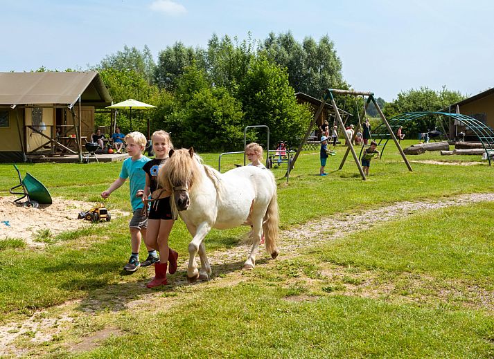 FarmCamps Den Branderhorst
