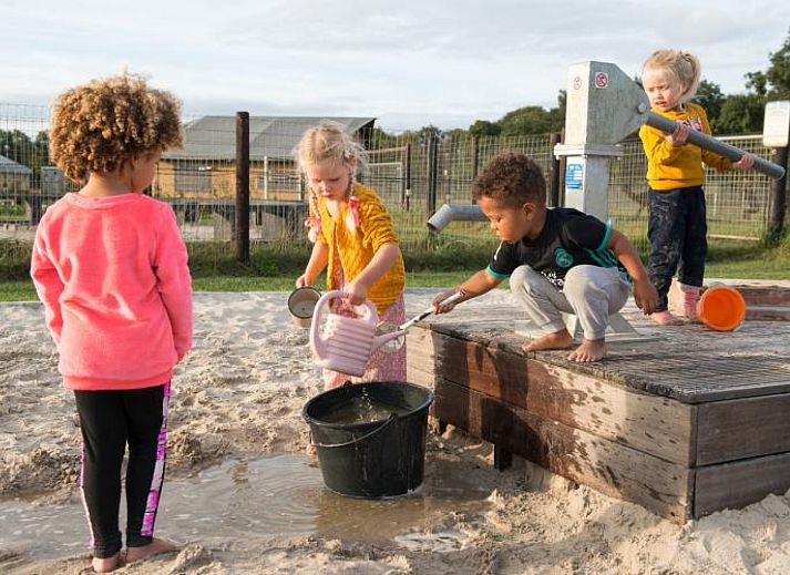 FarmCamps Alpaca Vorstenbosch