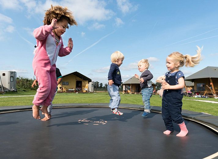 FarmCamps Alpaca Vorstenbosch