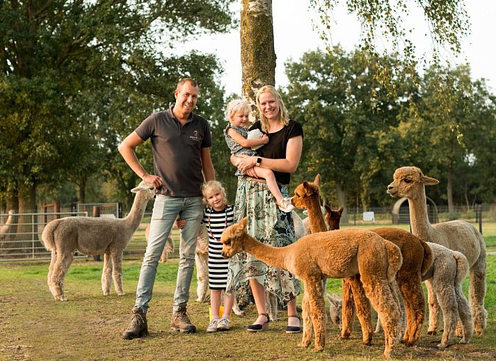 FarmCamps Alpaca Vorstenbosch