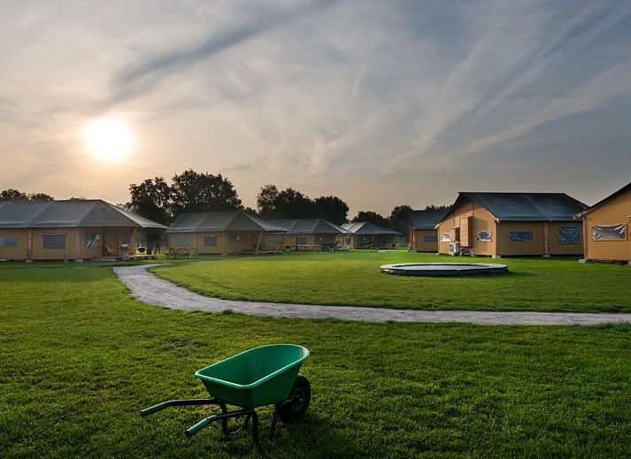 FarmCamps Alpaca Vorstenbosch