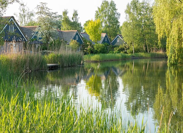 Villapark de Weerribben