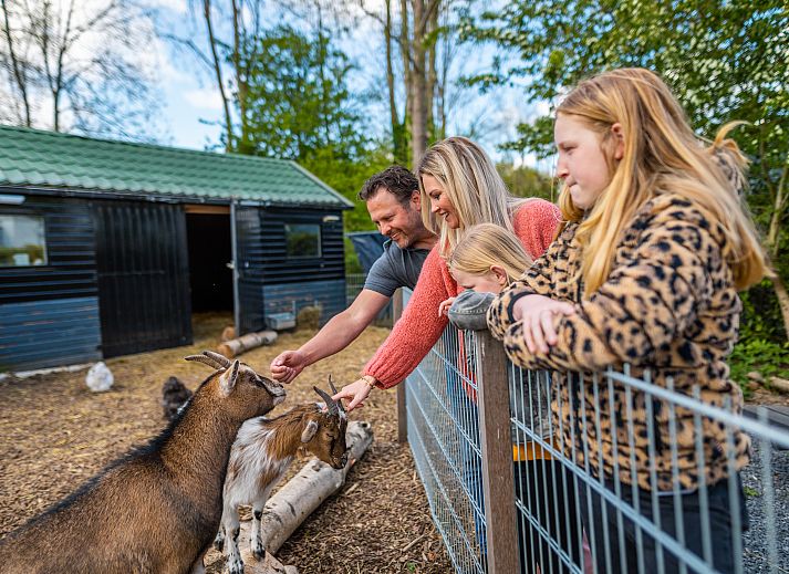 EuroParcs Spaarnwoude