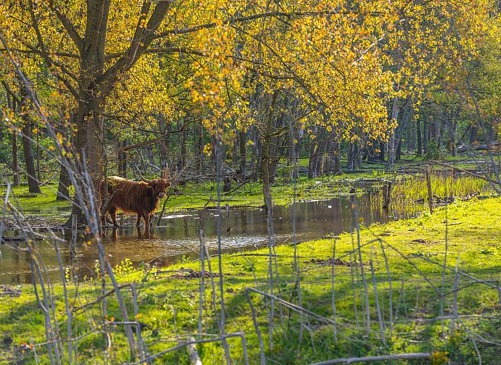 EuroParcs Spaarnwoude