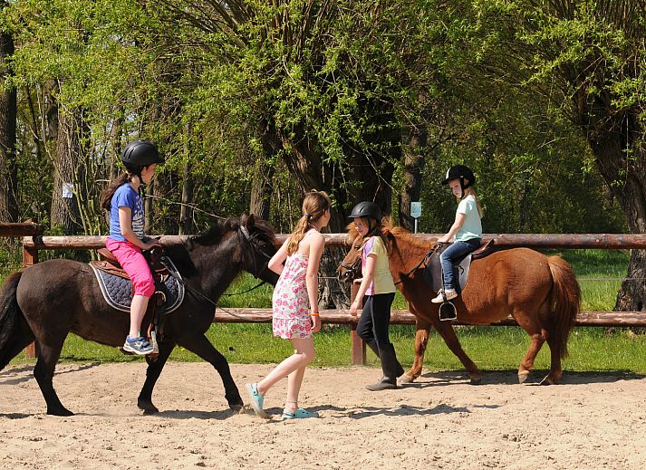 Camping de Meibeek