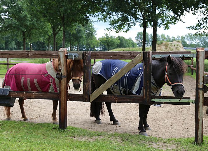 Camping de Meibeek