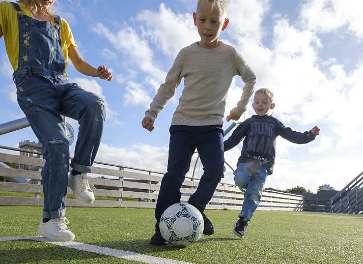 Landal Sallandse Heuvelrug