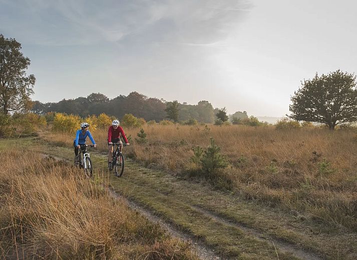 Landal Sallandse Heuvelrug