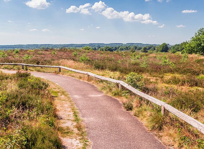 Landal Sallandse Heuvelrug