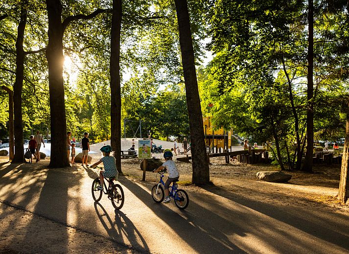 RCN het Grote Bos