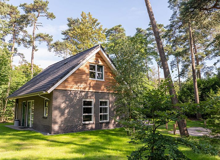 RCN het Grote Bos