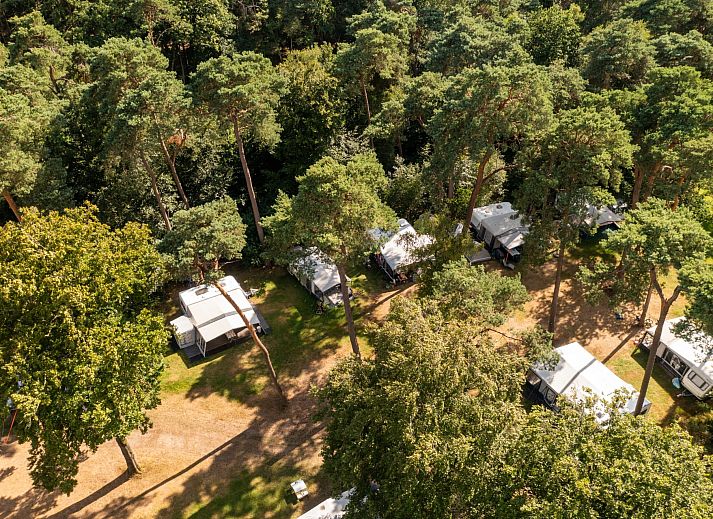 RCN het Grote Bos