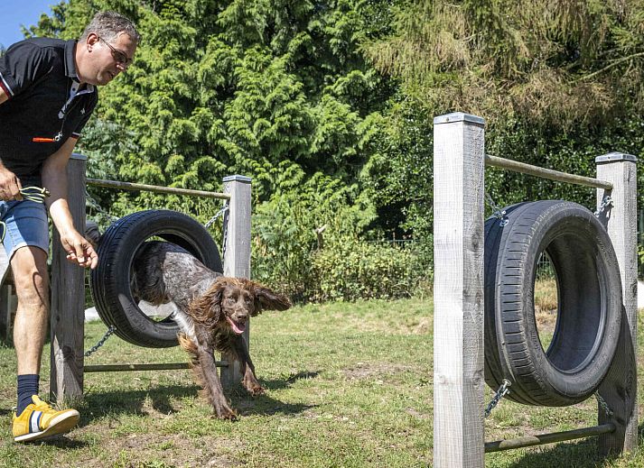 Veluwecamping 't Schinkel