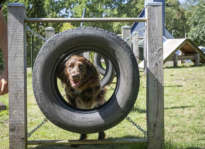 Veluwecamping 't Schinkel