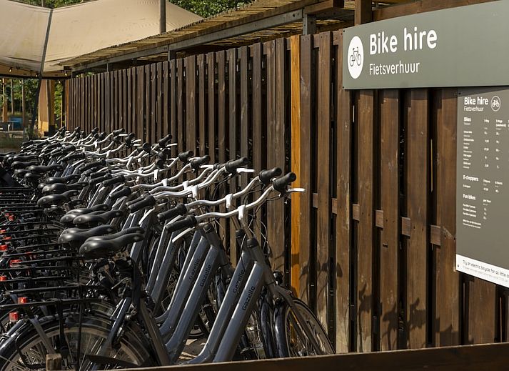 Kustpark Egmond aan Zee