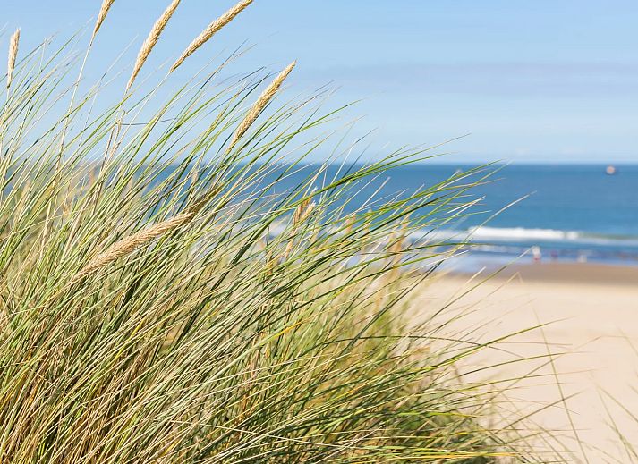 Strandpark Zeeland
